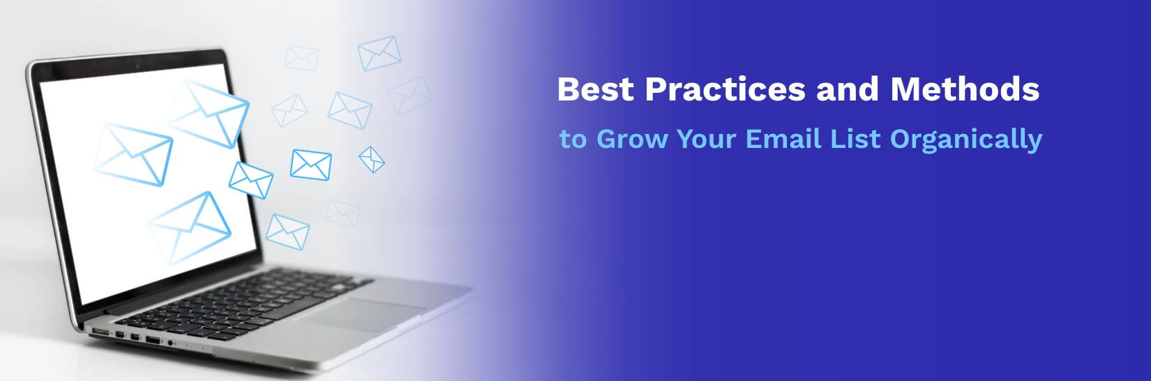 Best Practices and Methods to Grow Your Email List Organically | GlockApps
